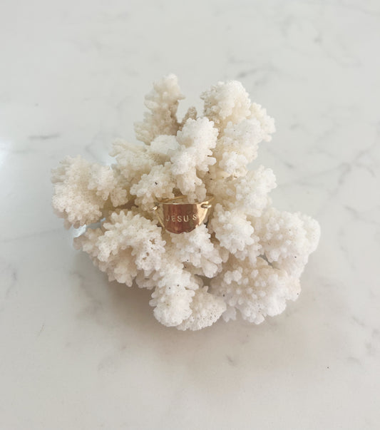 Jesus Ring