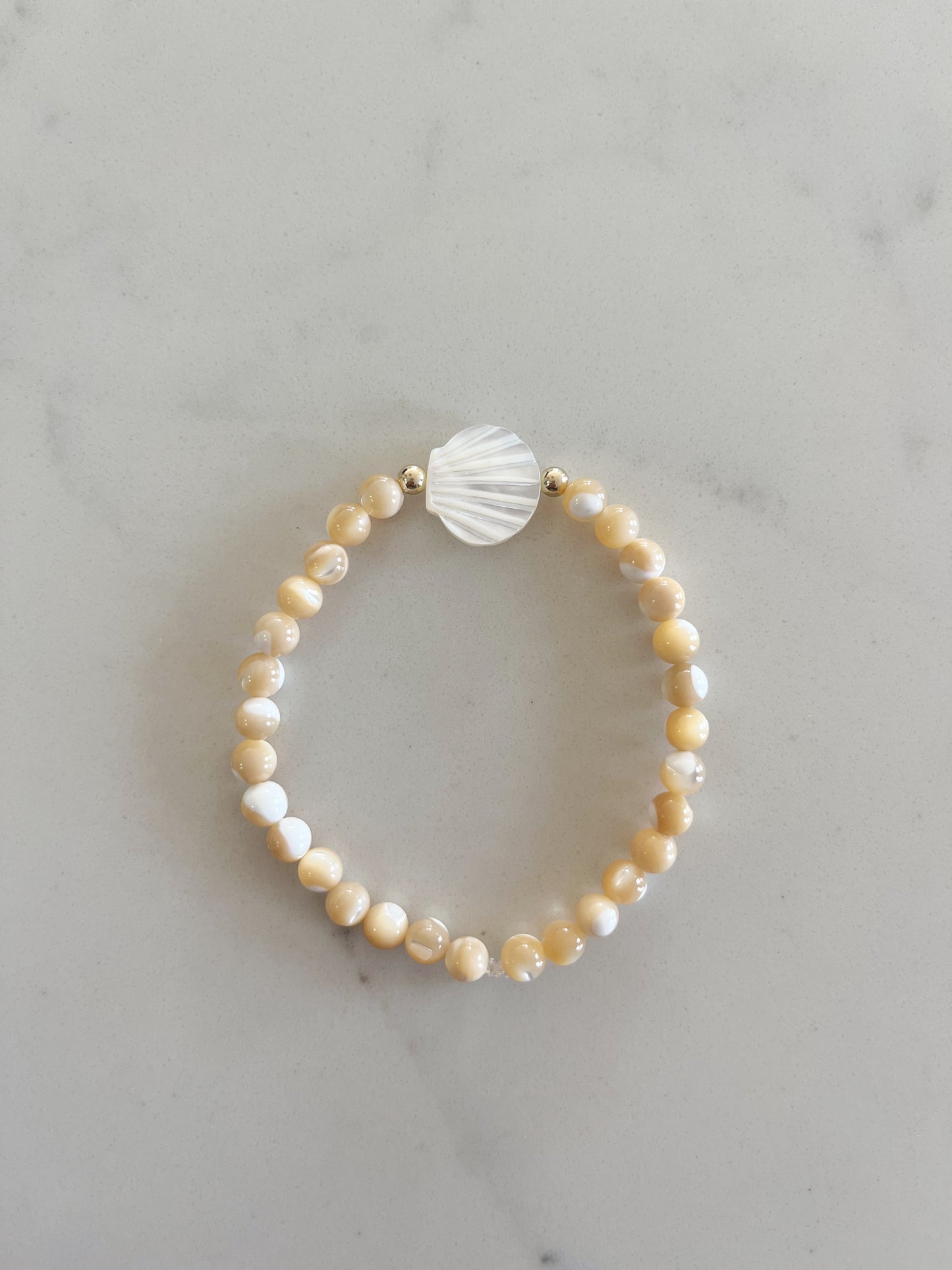 White Seashell Bracelet