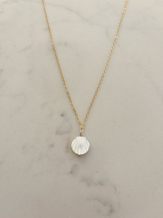 White Seashell Necklace