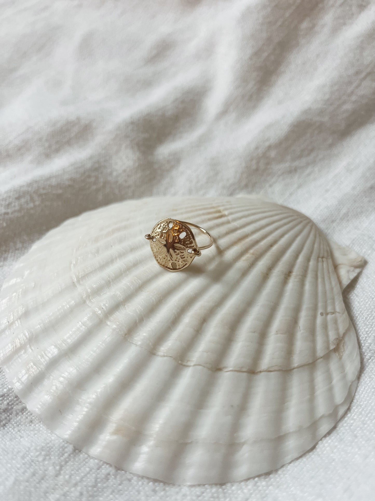 XL Sand Dollar Ring