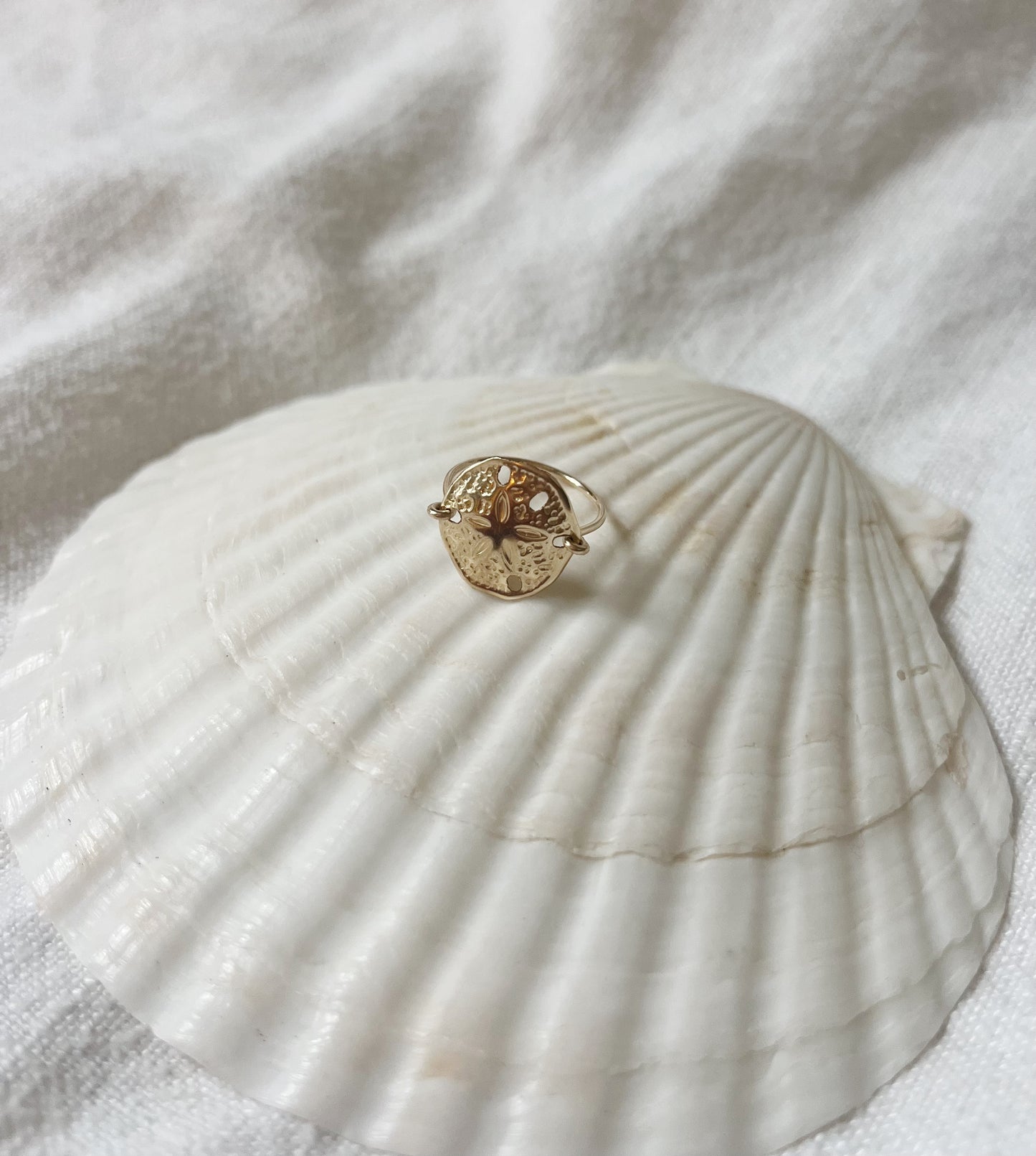 XL Sand Dollar Ring