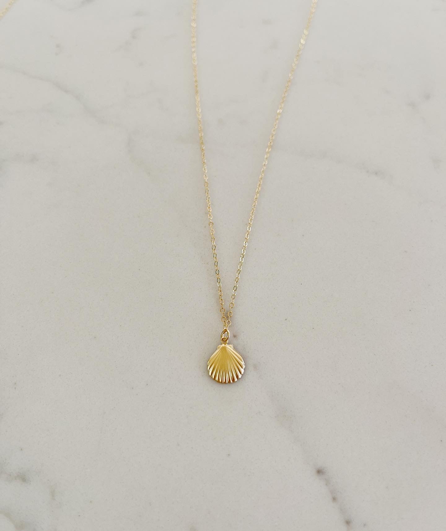 Seashell Pendant Necklace