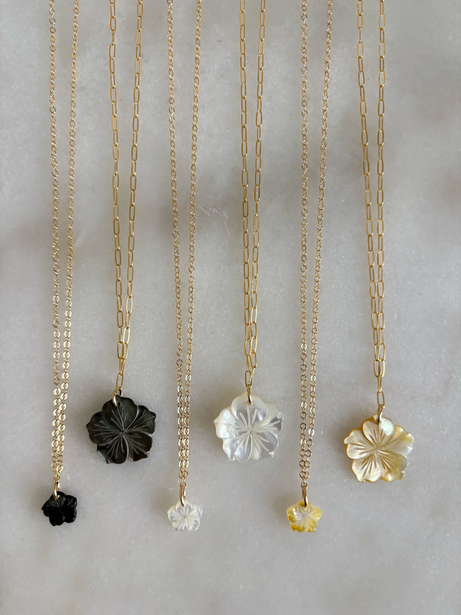 HIBISCUS COLLECTION