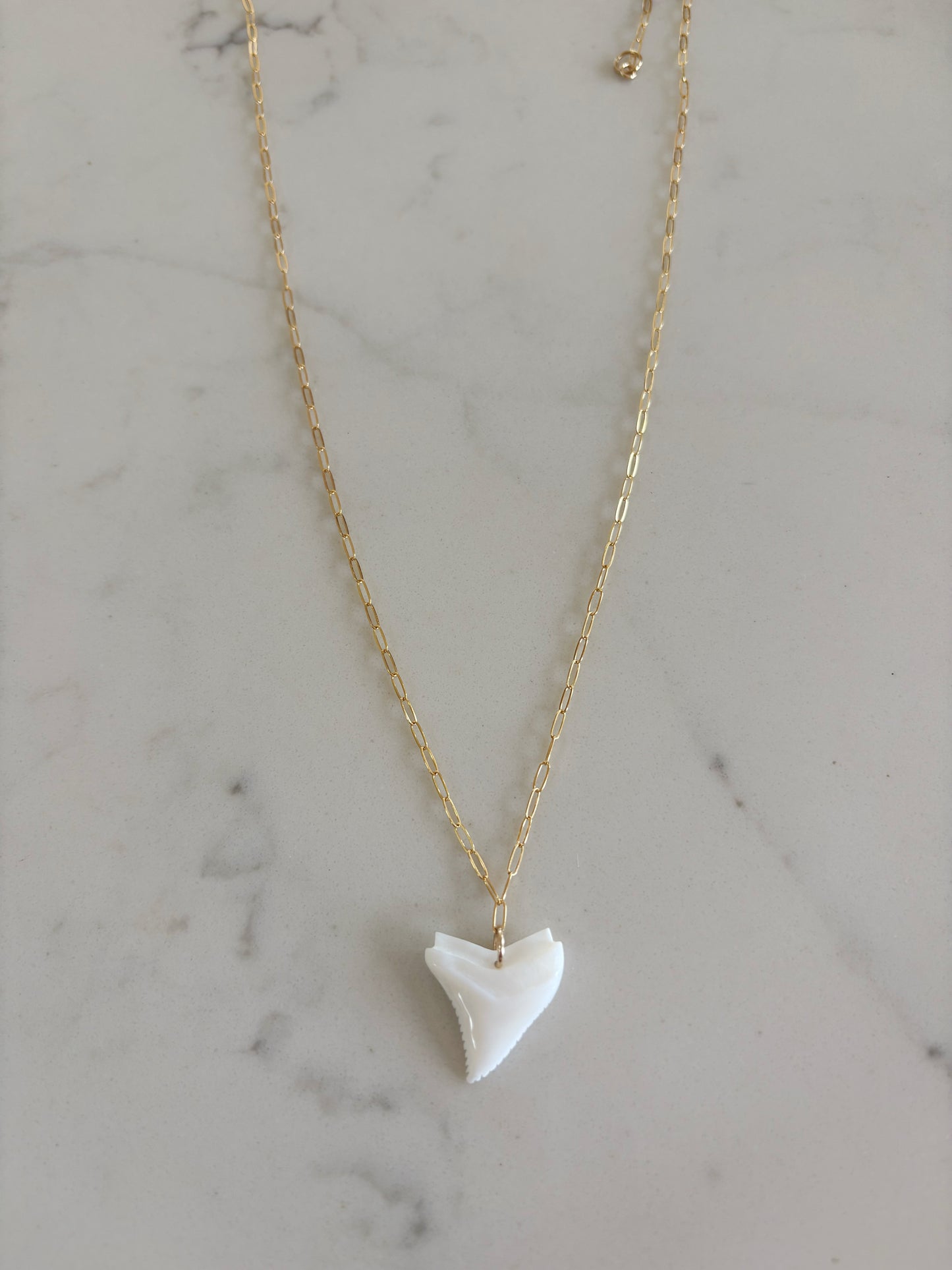 Sharky Necklace