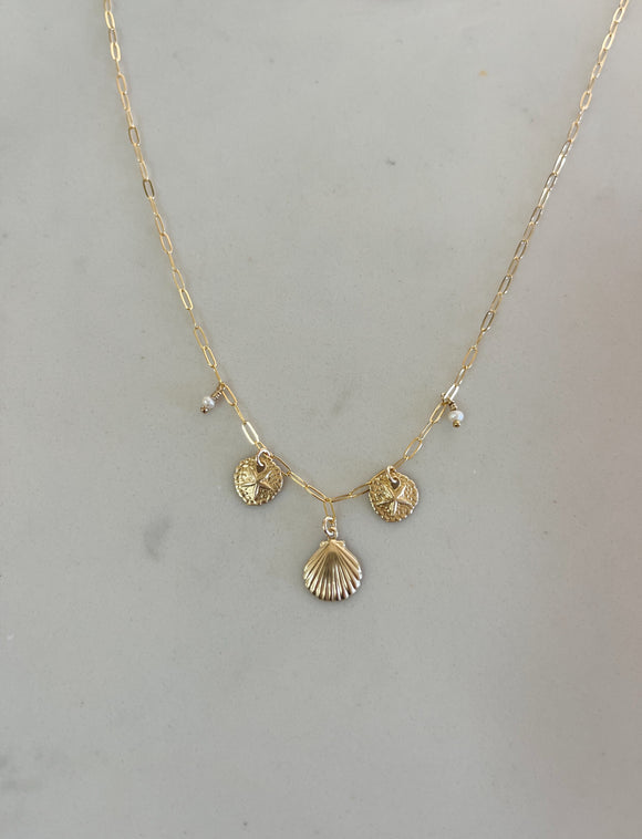 Seashell Charm Necklace