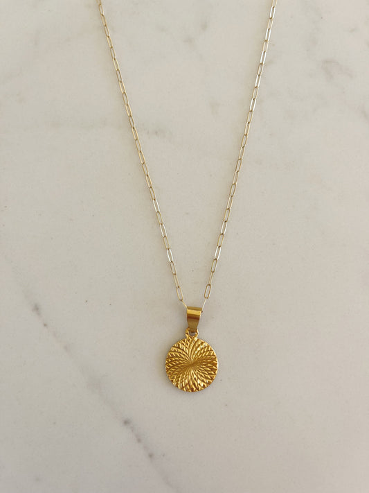 Coin Medallion