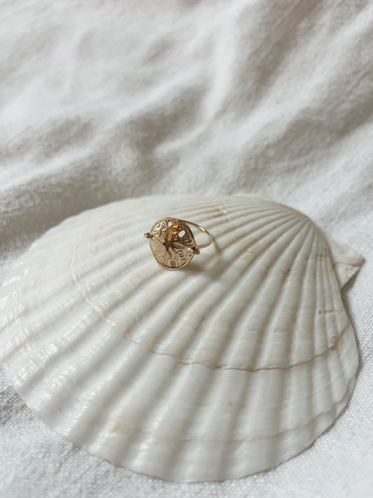 XL Sand Dollar Ring