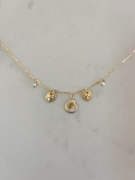 Seashell Charm Necklace