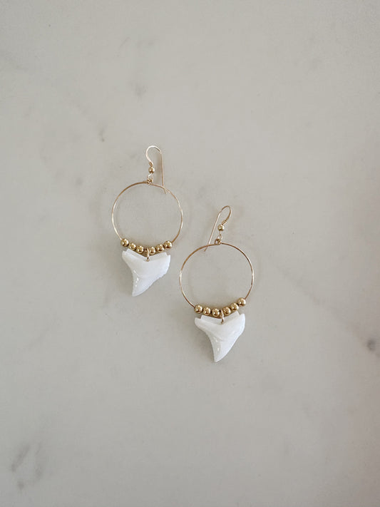 Sharky Hoops