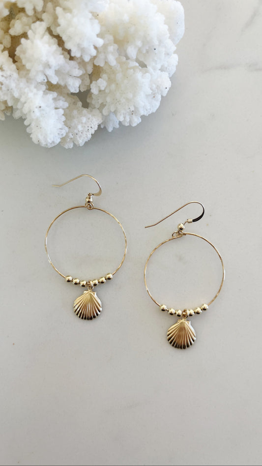 Gold Shell Hoops