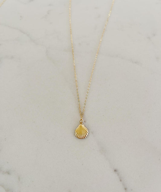 Seashell Pendant Necklace
