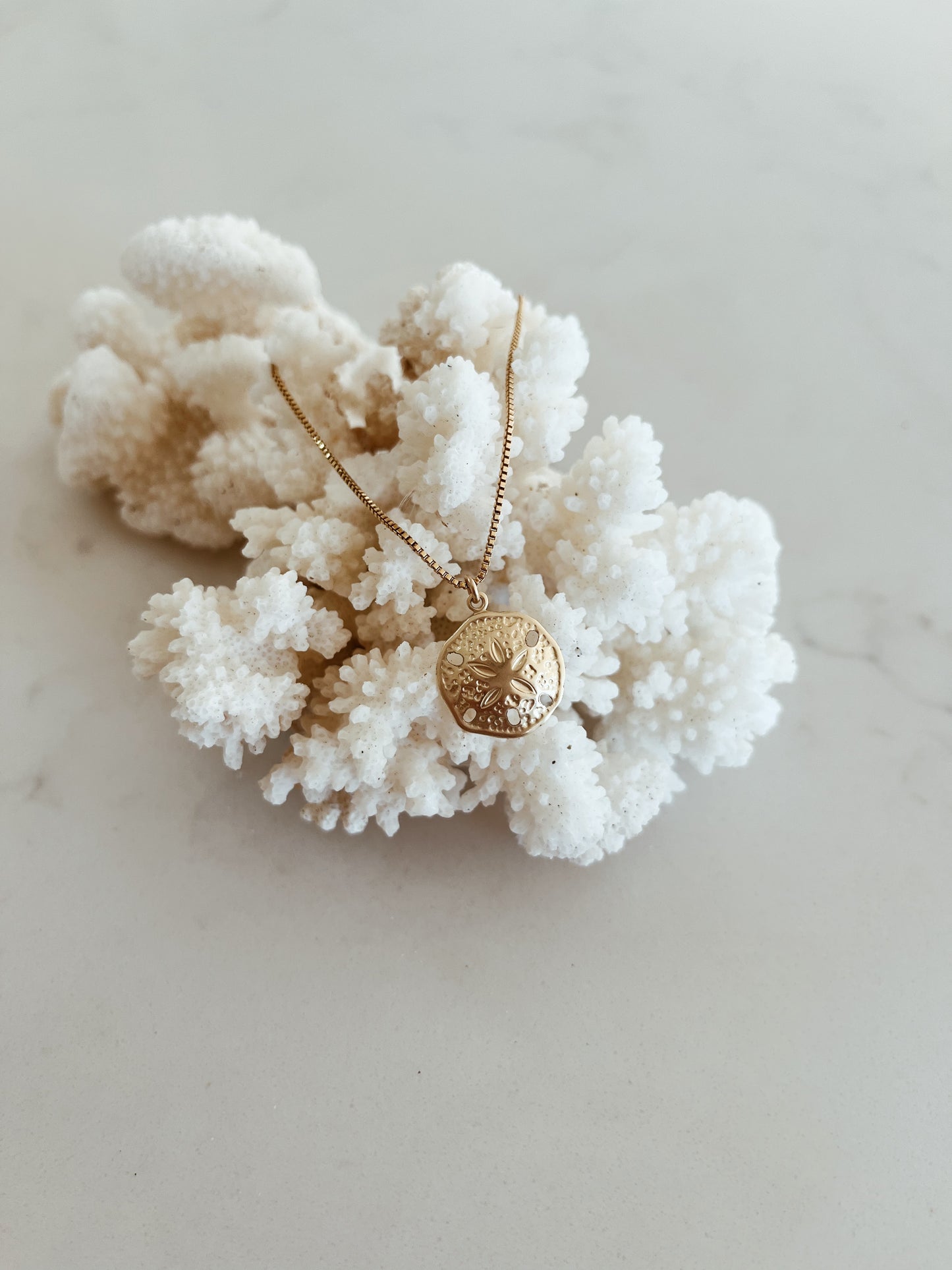 XL Luxe Sand Dollar Necklace